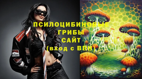 гидра Балахна