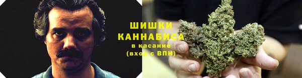 гидра Балахна
