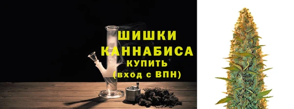 гидра Балахна