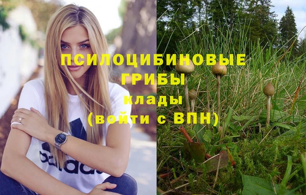 стаф Баксан