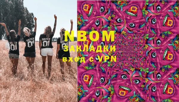 стаф Баксан