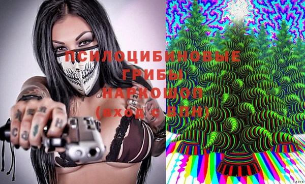 гидра Балахна
