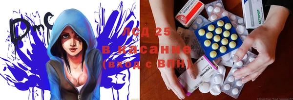 стаф Баксан