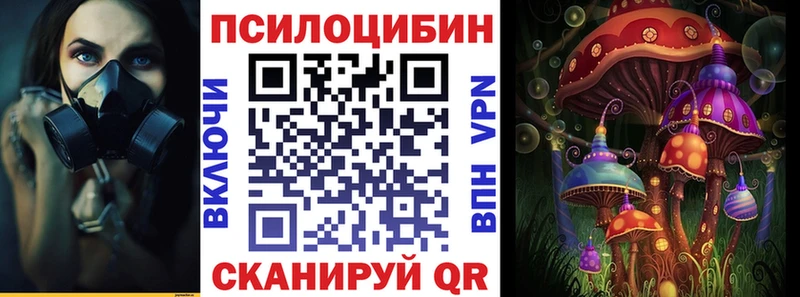 сколько стоит  Геленджик  Псилоцибиновые грибы прущие грибы 